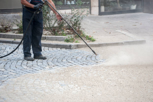 Best Pre-Holiday Cleaning  in Landover, MD